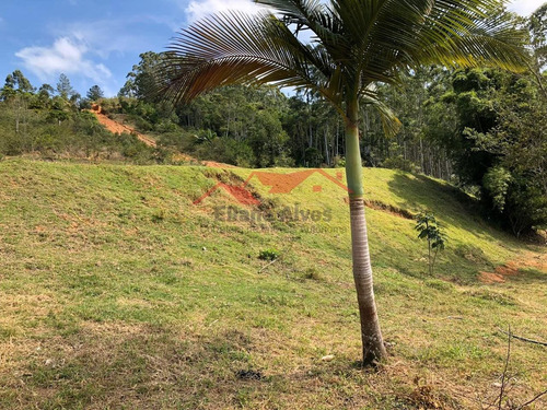 Imagem 12 de 15 de Chácara Em Canelinha - Canelinha, Sc - 129