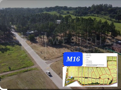 Imagen 4 de 4 de La Reserva 1. Terreno En Bosque De Pinos