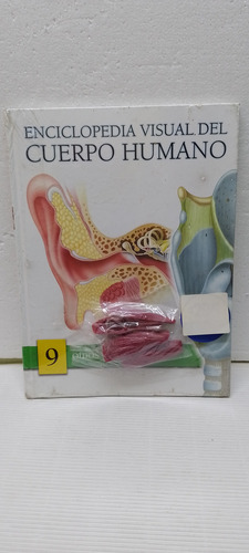 Libro Enciclopedia Visual Del Cuerpo Humano Oídos Y Cuello 9