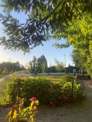 Arriendo Casa Amoblada 1d 1b En Talca