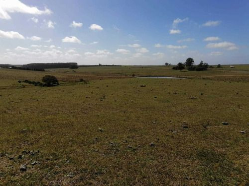 Venta De 30 Hectáreas De Campo En Garzón Maldonado (ref: Ksk-222)