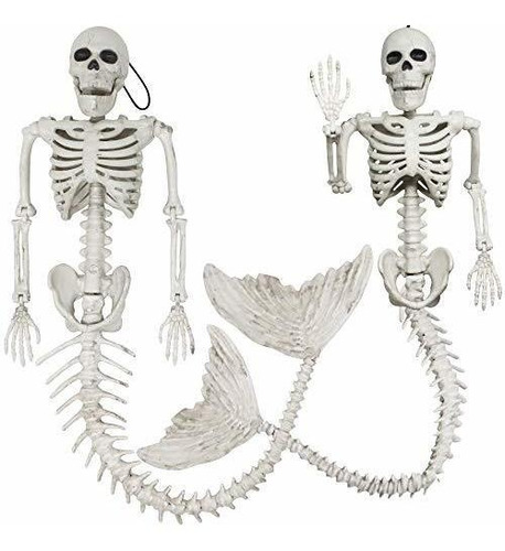 2 Bono De Plástico Esqueleto Esponjoso Con Rm9ss