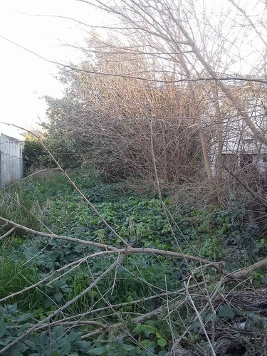 Lote De Terreno 10 X 30