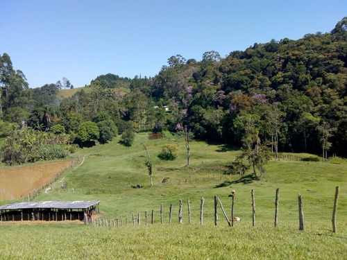 Imagem 25 de 30 de Fazenda Em Juquitiba; Fazenda À Venda Em Juquitiba Sp - 241 - 32982716