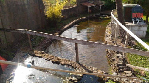Pousada À Venda, 5000 M² Por R$ 800.000 - Itaim - Córrego Do Bom Jesus/mg - Ch0308