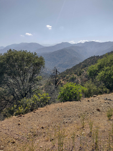 El Arrayan (94131)