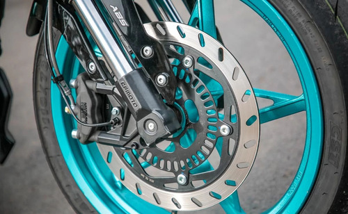 Imagen 7 de 11 de Zanella Rz 300