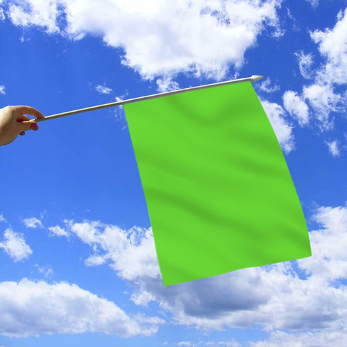 Minibandera Anley Green, 12 Unidades, 13 X 20 Cm, De Poliést