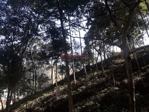 Imagem 2 de 24 de Terreno Com 340 M² Em Condomínio Em Vargem Grande. - Te00279 - 34416617