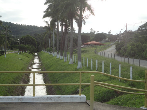 Imagem 1 de 14 de Lindo Sítio À Venda Na Cidade De Itutinga-mg