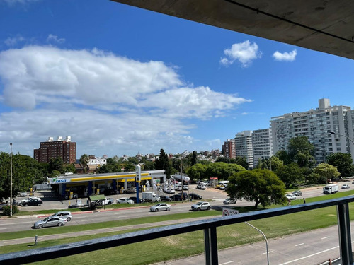 Imagen 10 de 24 de Departamento - Malvín