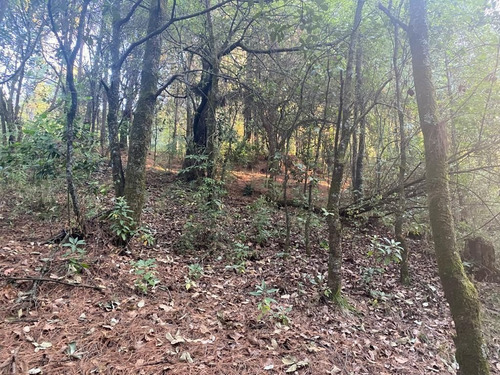 Imagen 10 de 10 de Terreno En Paraje Cuacuametla, Fracc. Real Montecasino, En H