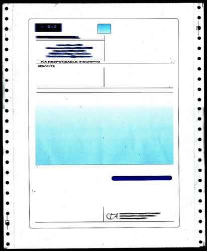 Imagen 6 de 7 de Formularios Continuos 1000 12x25 Obra Impreso A 2 Colores