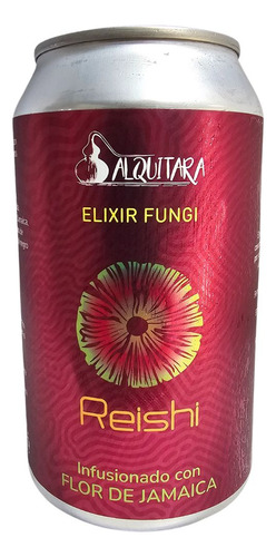 Elixir Fungi Melena De León Reishi Lata 355 Ml Pack 4 Ud