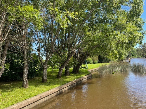 Cabaña En La Primera Seccion Del Delta Arroyo Espera 496 Tigre