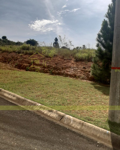 Imagem 19 de 21 de Terreno - Te00064 - 69210627