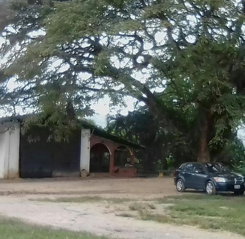 Imagen 1 de 5 de Terreno, En Venta Cod 415365 Liseth Varela 04144183728