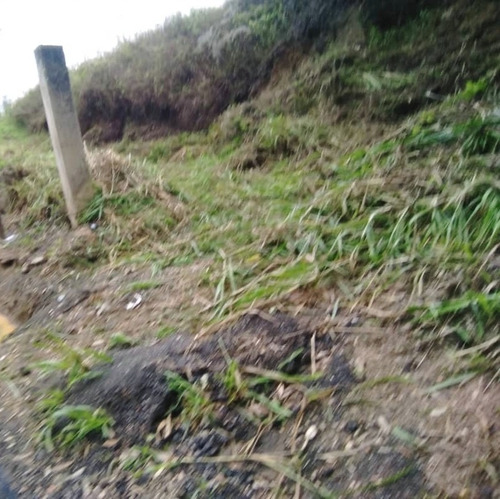 Imagen 4 de 7 de Colinas De Carrizal