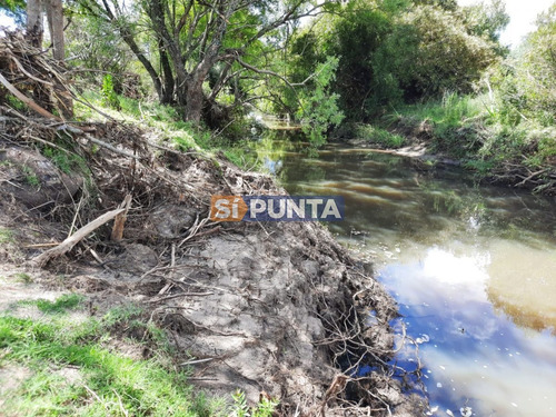 Imagen 15 de 22 de Linda Chacra De 5 Has En Las Cañas