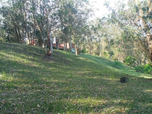Chacra En Oportunidad Zona Jose Ignacio - Ref: 217418