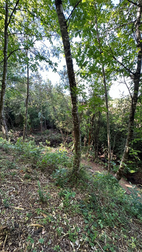 Parcela Urbana En Venta, Gorbea