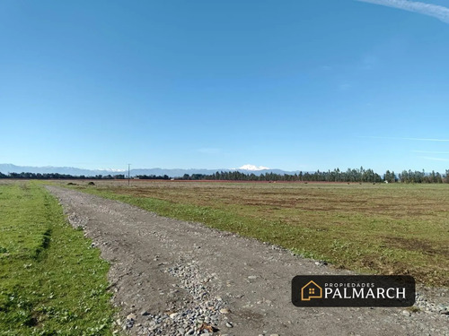 Parcelas En Venta 5000m2 Camino A Cato Chillán