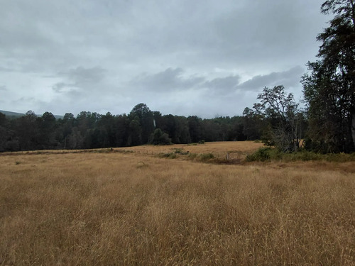 Espectacular Campo De 200 Hectareas En Loncoche