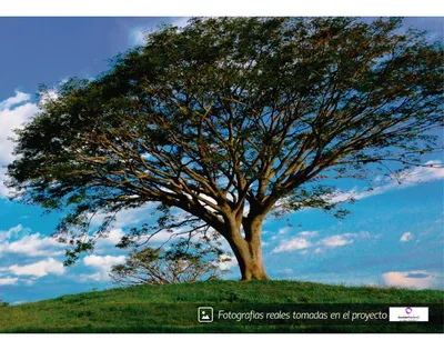 Lote y casalote en venta