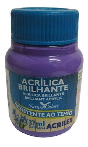 Tinta Acrílica Brilhante Violeta - 516 - Acrilex - 37ml