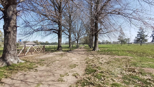 Venta Chacra De 3007 Mts En Arroyo De La Cruz