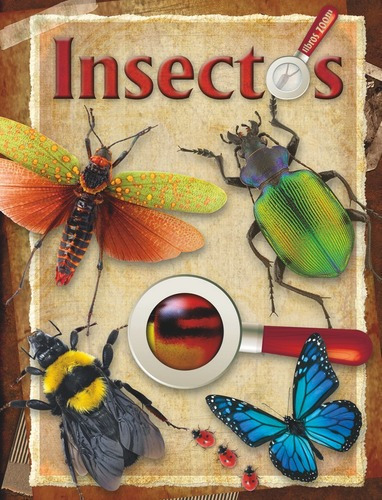 Insectos, De Aa. Vv.. Editorial Libsa, Tapa Dura En Español