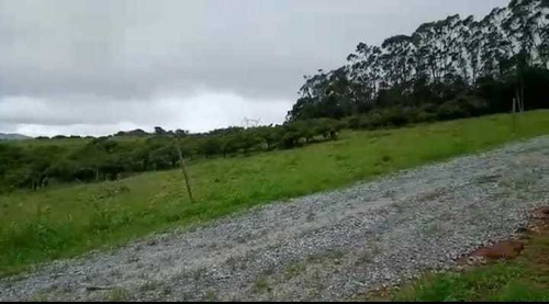 Imagem 4 de 14 de B77- Lotes Com Escritura Individual