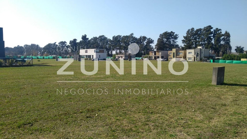 Imagen 6 de 11 de Excelente Lote En Venta En San Ignacio Chico