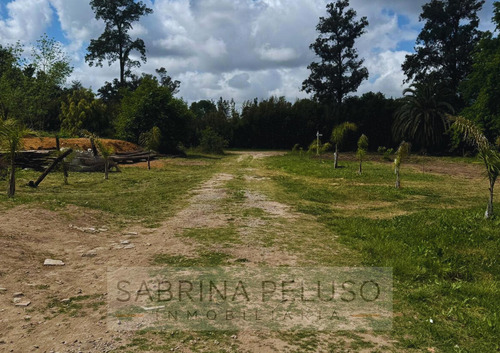 Lotes En Venta Moreno - La Reja