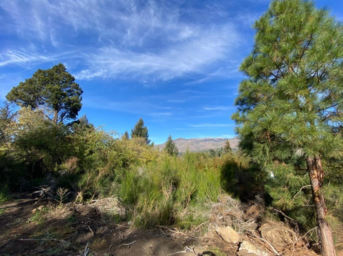 Imagen 8 de 18 de Lotes En Venta En Alihuen Alto, San Martin De Los Andes