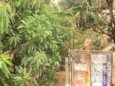 Imagem 5 de 5 de Casa Com 4 Quartos Para Comprar No Maria Helena (justinópolis) Em Ribeirão Das Neves/mg - 127