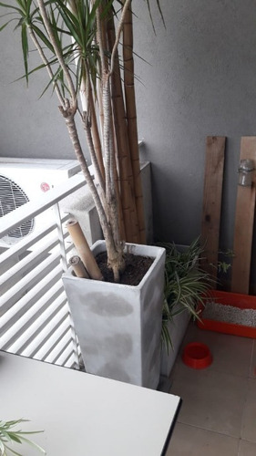 Imagen 10 de 14 de Departamento De 2 Ambientes En Venta - Moron Centro