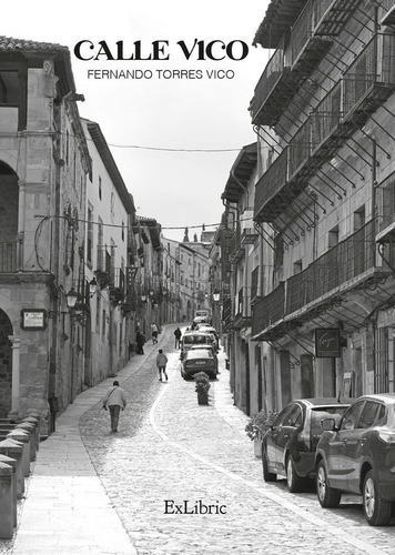 Calle Vico, De Torres Vico, Fernando. Editorial Exlibric, Tapa Blanda En Español