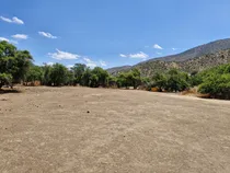 Comprar Venta De Parcelas Planas Con Rol Propio A Pasos A La Ruta 68
