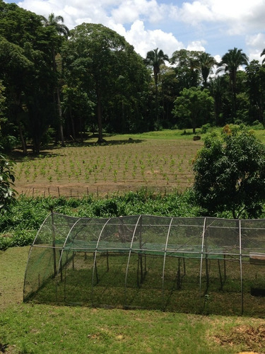 Venta Finca Yaguapita Acevedo Miranda Con Proyecto Piscicola