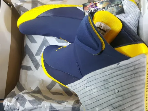 Michigan jordan best sale why not zero