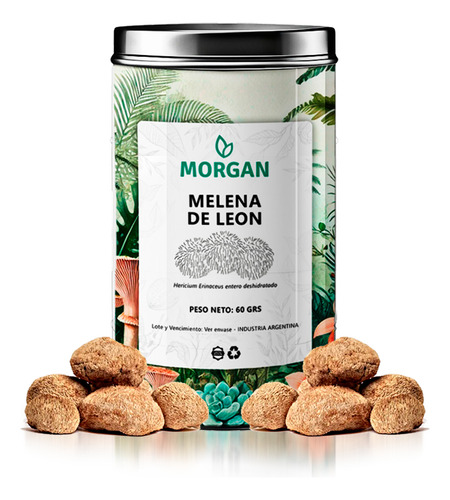 Hongo Melena De León Entero | 60grs | Edición Limitada