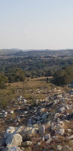 Imagen 11 de 19 de Chacra En Sierras De Carapé