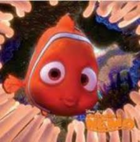 Buscando A Nemo /523