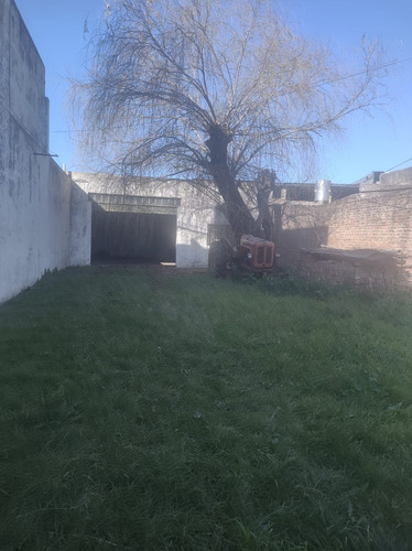 Imagen 6 de 7 de Alquilo Galpón