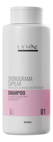 Lamine Shampoo Cronograma Capilar 500ml - Hanova