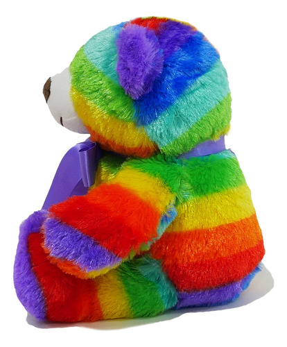 Peluche Arcoíris Oso De Peluche 12 Pulgadas Alegre Su