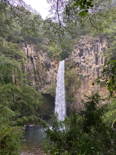 Malacahuello 9300 Mt 2 Con Vertientes, Bosque Nativo