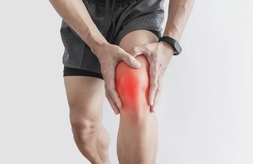 Primera imagen para búsqueda de rodilla