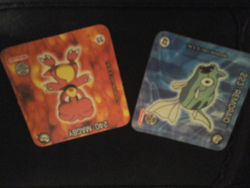 Lote Com 2 Card Pokemon (elma Chips)